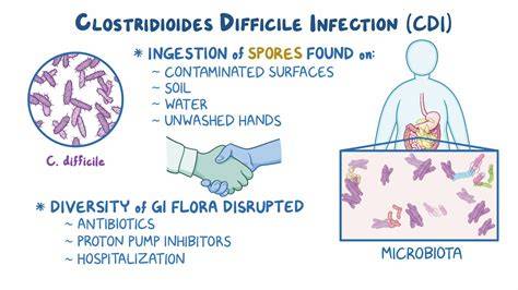 Is C Diff Airborne