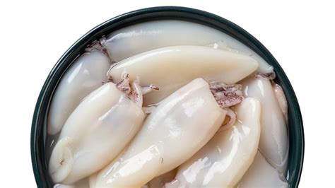 Is Calamari Shellfish