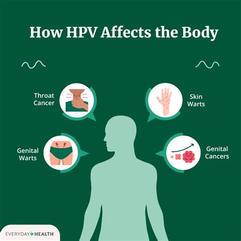 Is Herpes Hpv