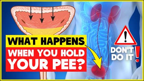 Is It Bad To Hold Your Pee