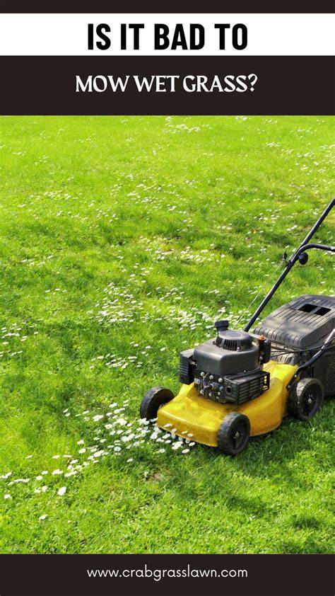 Is It Bad To Mow Wet Grass