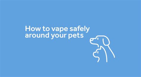 Is It Bad To Vape Around Dogs