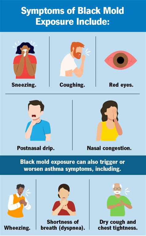 Is It Dangerous To Breathe In Mold