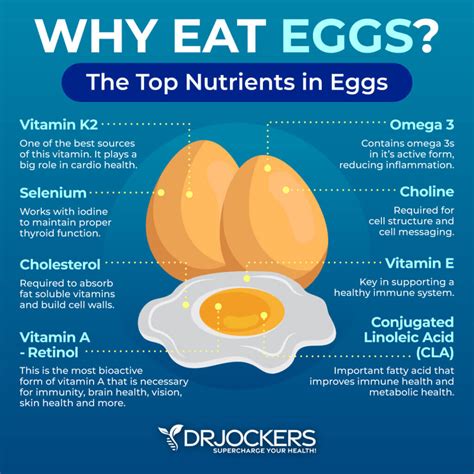 Is It Healthy To Eat Raw Eggs