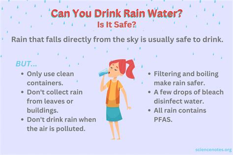Is It Safe To Drink Rain Water