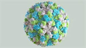 Is Norovirus Airborne