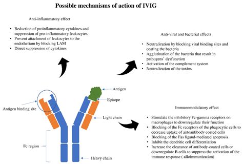 Ivig Mechanism Of Action
