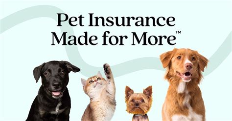 Kaiser Employee Pet Insurance Cost