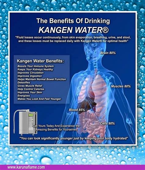 Kangen Water Benefits