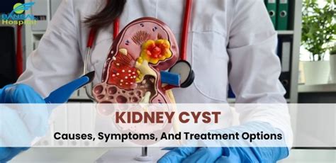 Kidney Cyst Treatment