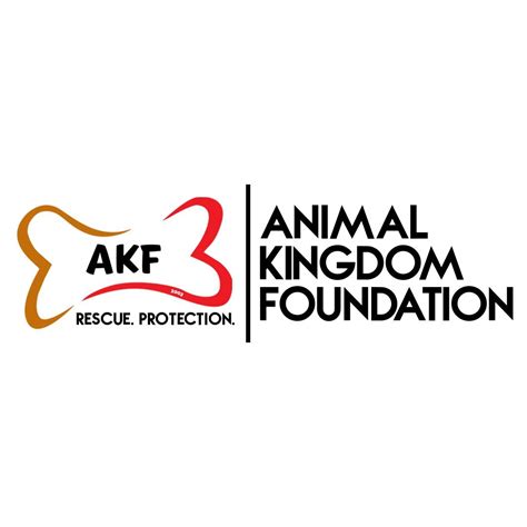 Kingdom Of Foundation
