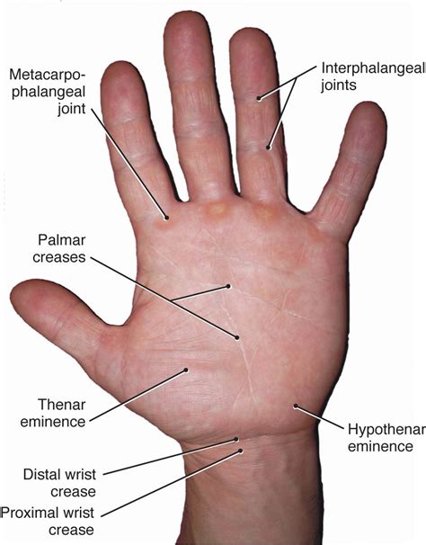 Knot In Palm Of Hand