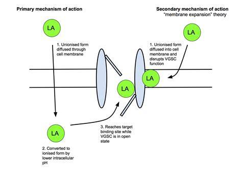 La Mechanism
