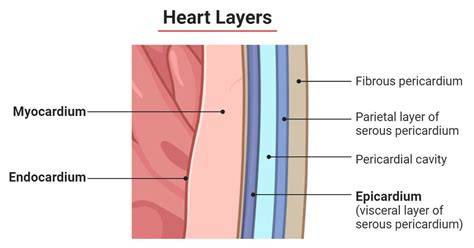 Layers Of The Heart