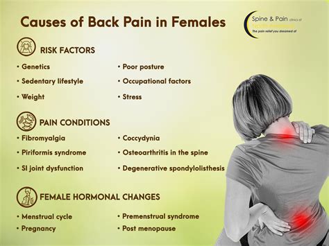 Left Lower Back Pain Female