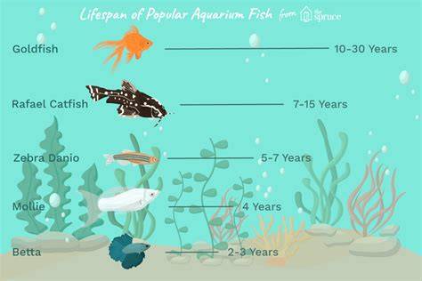Lifespan Of Fish