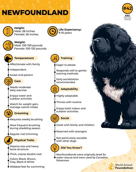 Lifespan Of Newfoundland