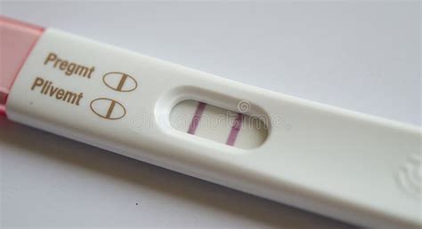 Line Test Pregnancy
