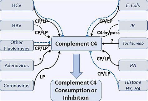Low C4 Complement