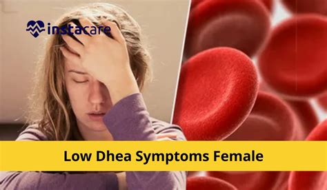 Low Dhea Symptoms Female