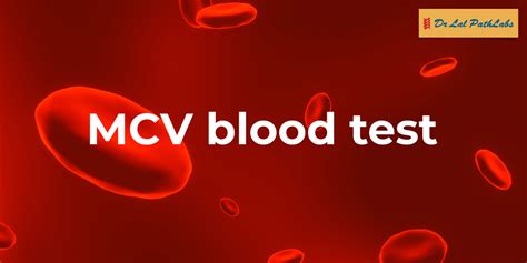 Low M.c.v In Blood Test