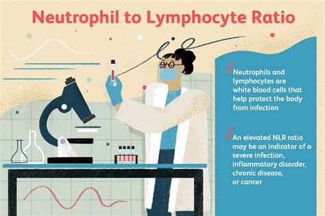 Low Neutrophils High Lymphocytes