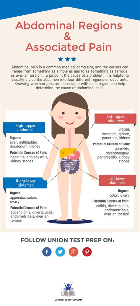 Lower Abdomen In Woman