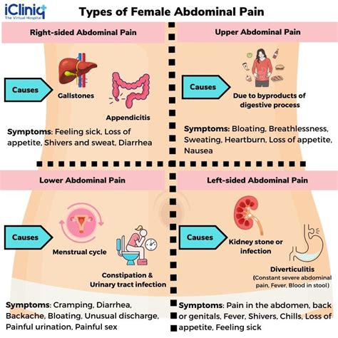 Lower Abdominal Cramping Female