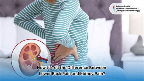 Lower Back Pain Ache Kidney