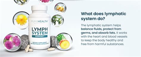 Lymph System Support