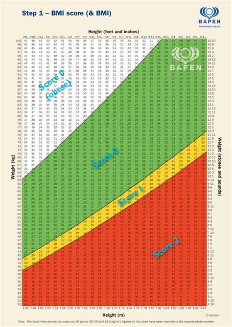 M. Step Score Chart