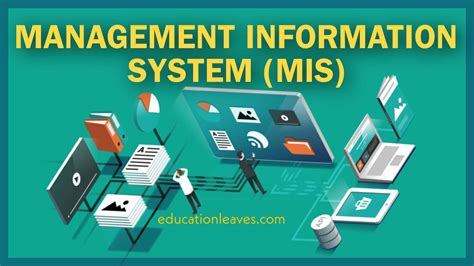 Management Information System Internship Graduates