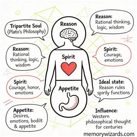 Map Of The Soul Explained