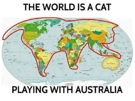 Map Of The World Cat