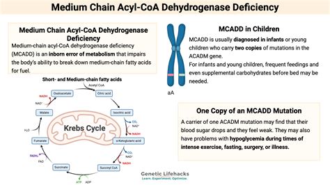 Mcad Genetic Disease