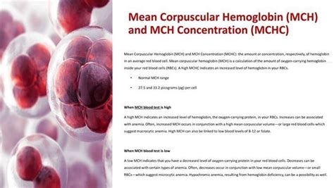 Mch Lab Test Low