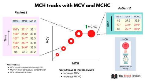 Mcv And Mch Low