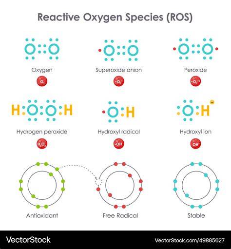 Measurement Of Reactive Oxygen Species