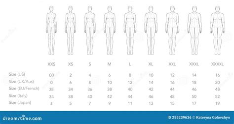 Measurement Of Xxs Size