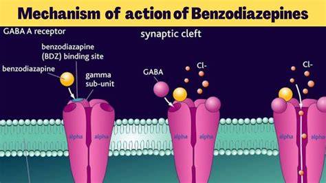 Mechanism Of Benzodiazepines