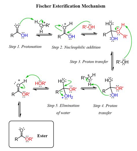 Mechanism Of Esterification Of Carboxylic Acid