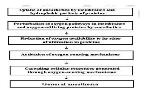 Mechanism Of General Anaesthesia