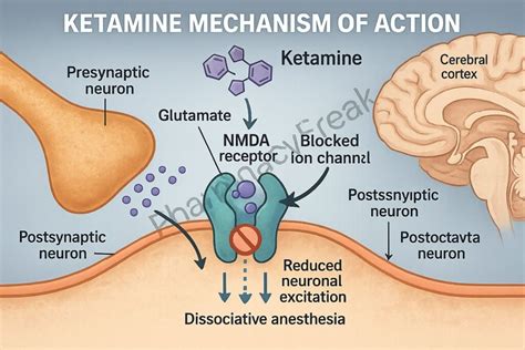 Mechanism Of Ketamine
