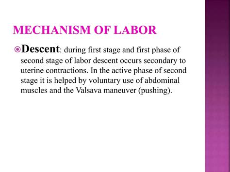 Mechanism Of Normal Labour Ppt