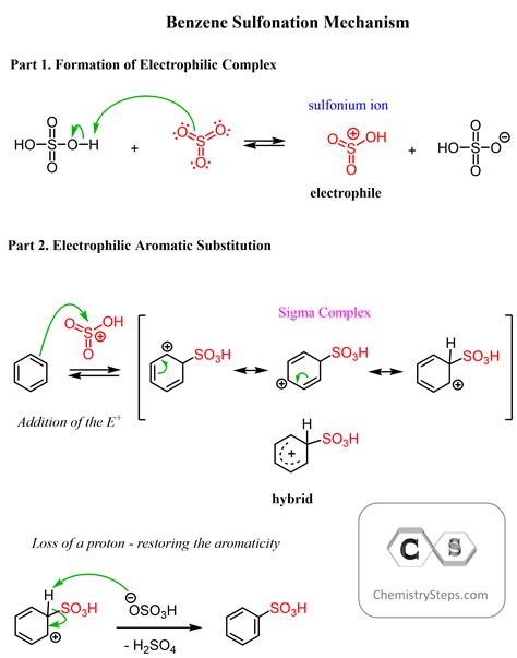 Mechanism Of Sulphonation Of Benzene