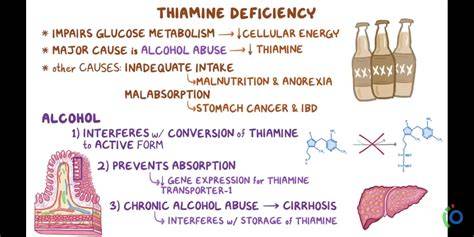 Mechanism Of Thiamine Deficiency Alcoholics