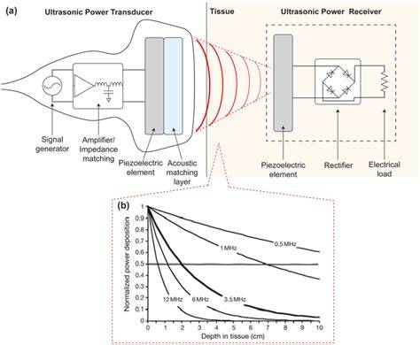 Mechanism Of Ultrasound