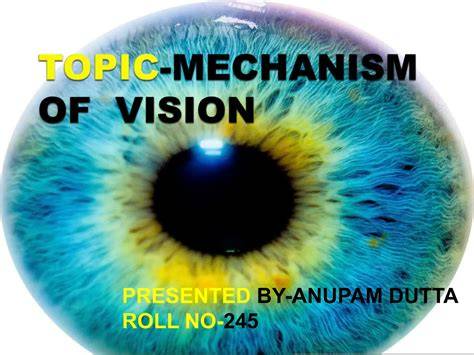 Mechanism Of Vision