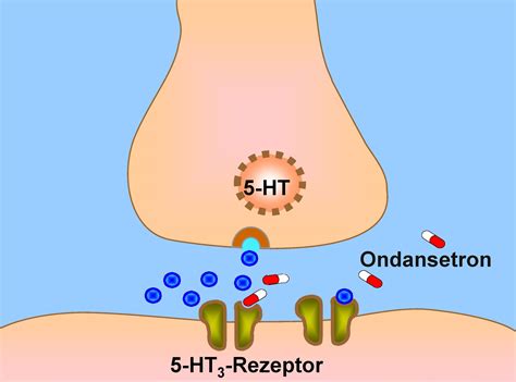 Mechanism Of Zofran