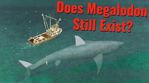 Megalodon Does It Still Exist